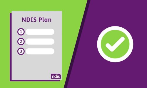 ndis-plan